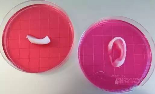 3D打印 3D打印